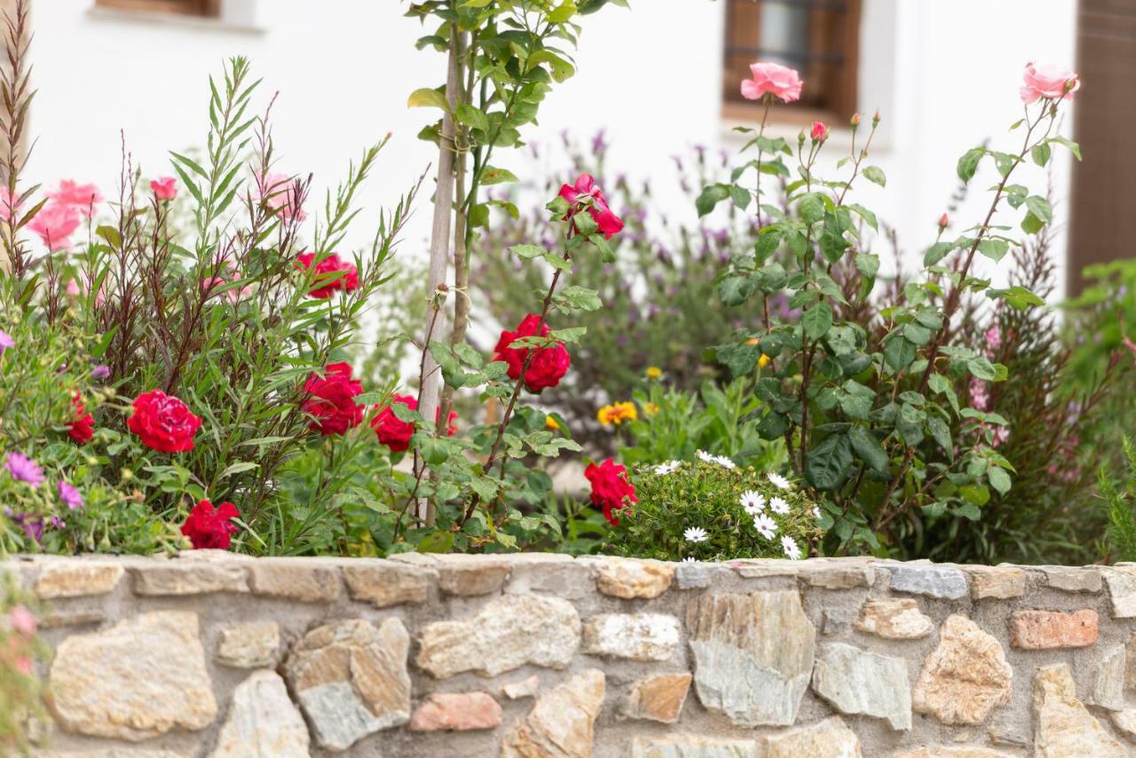 Garden House Psarogiannis Appartement Vourvourou Buitenkant foto